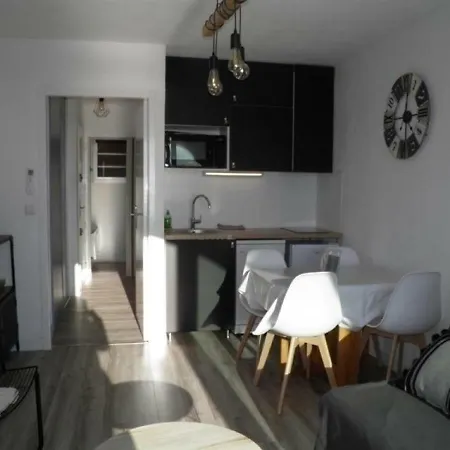 Appartement Studio Cabine Avec Loggia 1 *